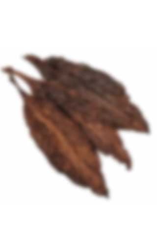 TPA - RY4 Type 10мл