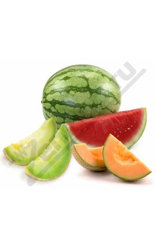 Gooddrip - Foggy Melon 10мл