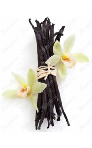 George Batareykin Vanilla Sky