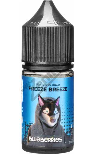 FREEZE BREEZE SALT 2.0 - Blueberries 30мл