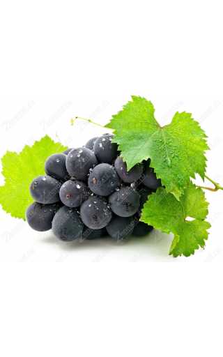 George Batareykin Holy Grape