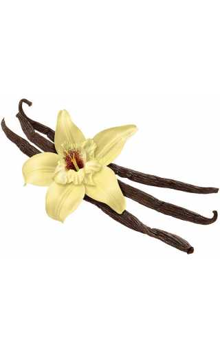 TPA - French Vanilla 10мл